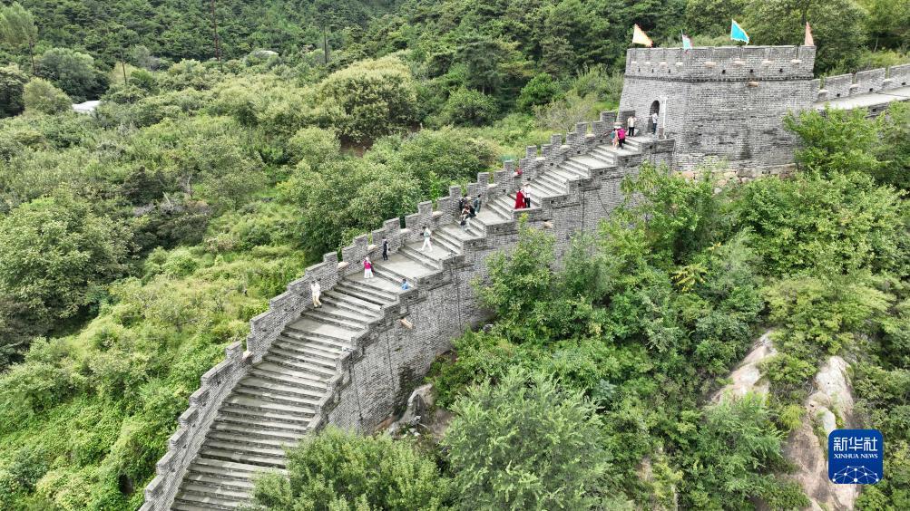 捕鱼大师无限金币